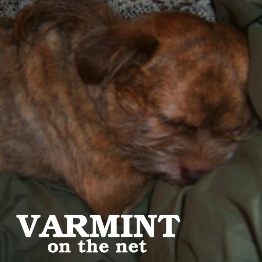 Varmint on the net
